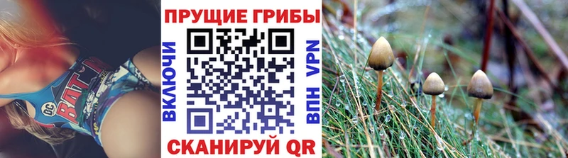 Галлюциногенные грибы Magic Shrooms  Семилуки 